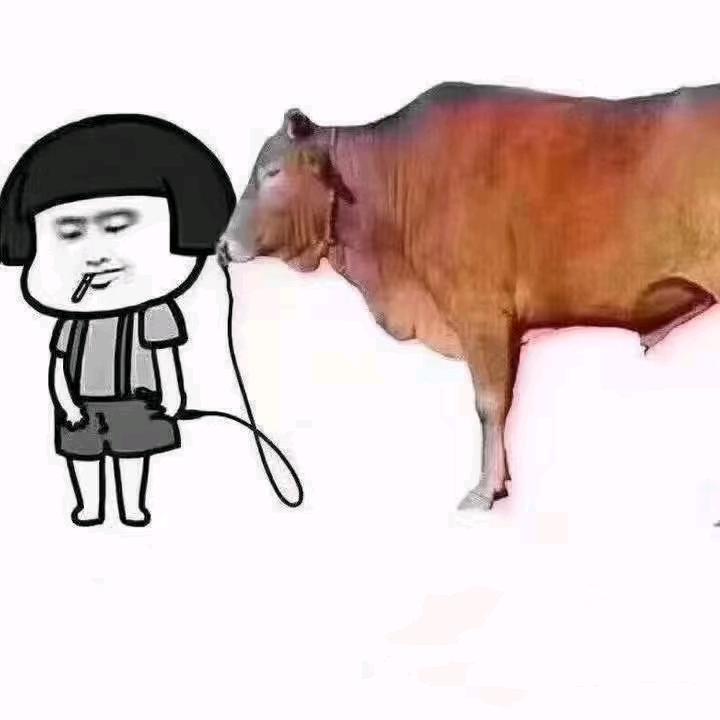 小七放牛!