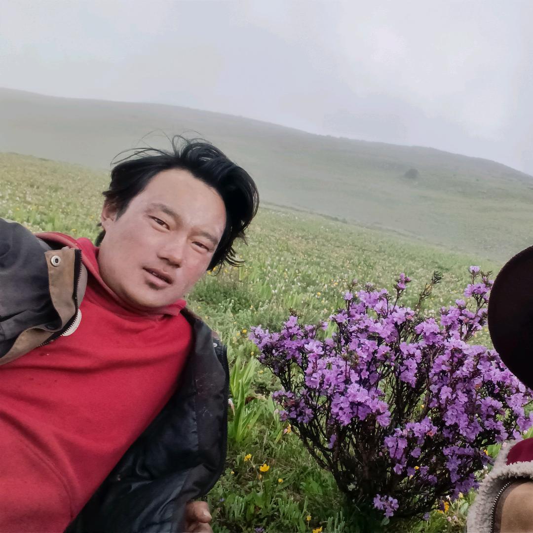 1🌷3🌹7🐇6🙏