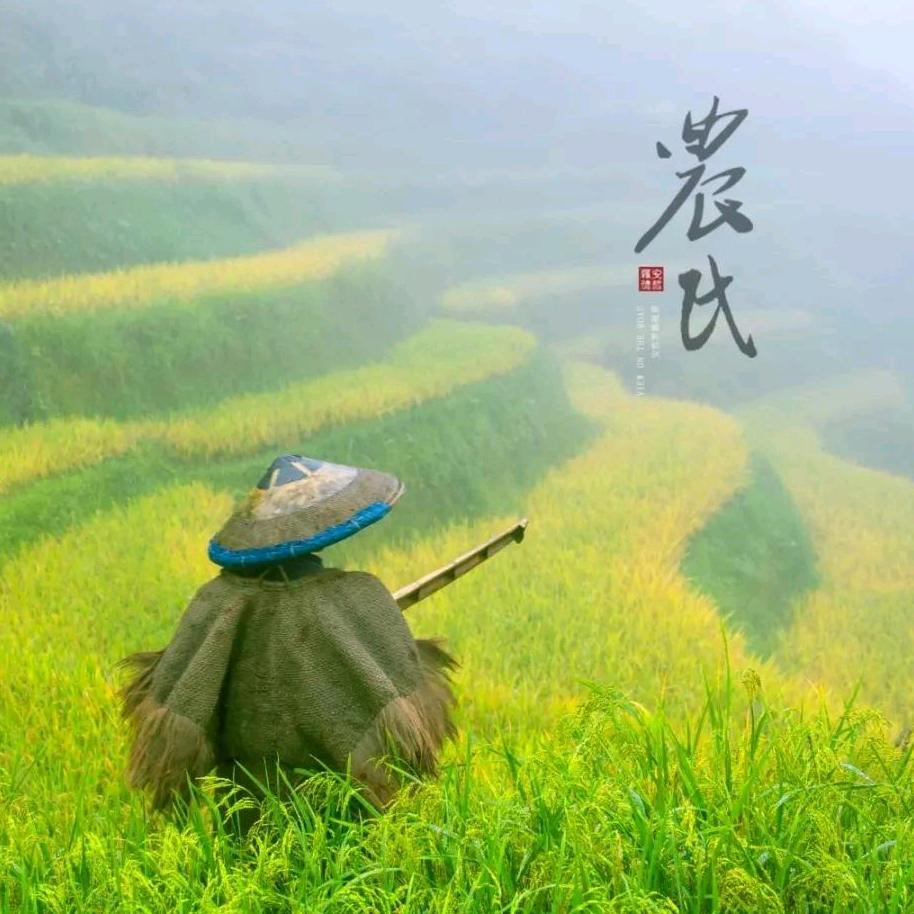 秦巴助农
