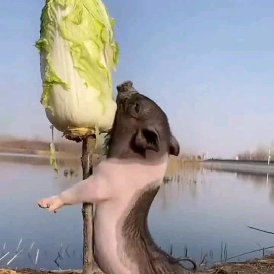钱难友