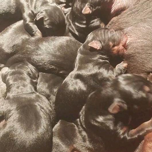 总有人说，你变了却没人问你经历了什么