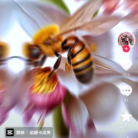 康乐