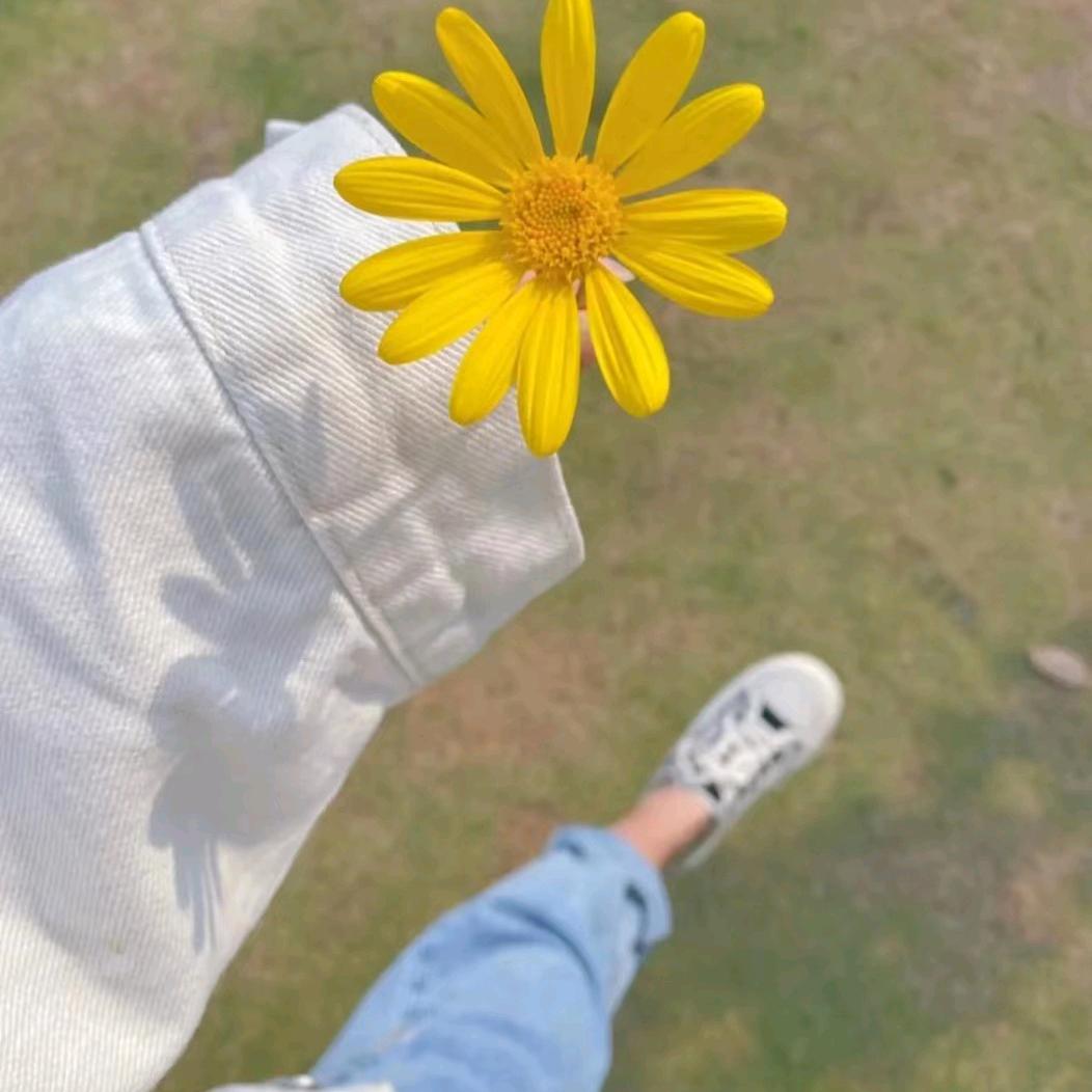 北方种子大会~张伟