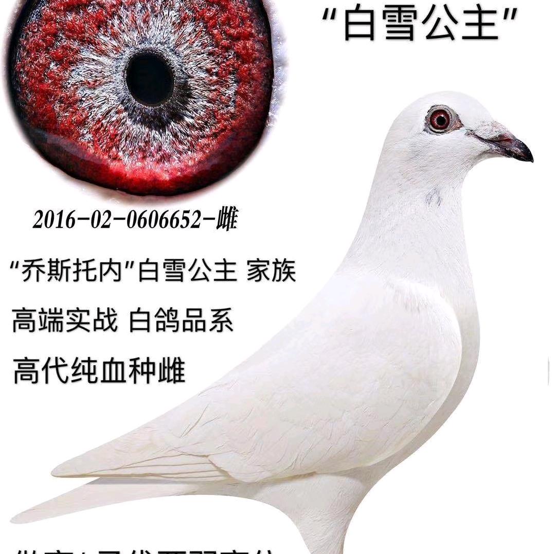 拥抱幸福🐛🐛