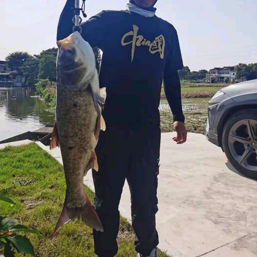 🌈🇨🇳痞子哥🎣🌈