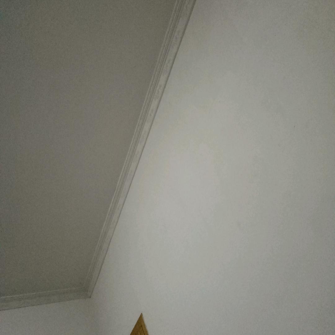 陈海霞