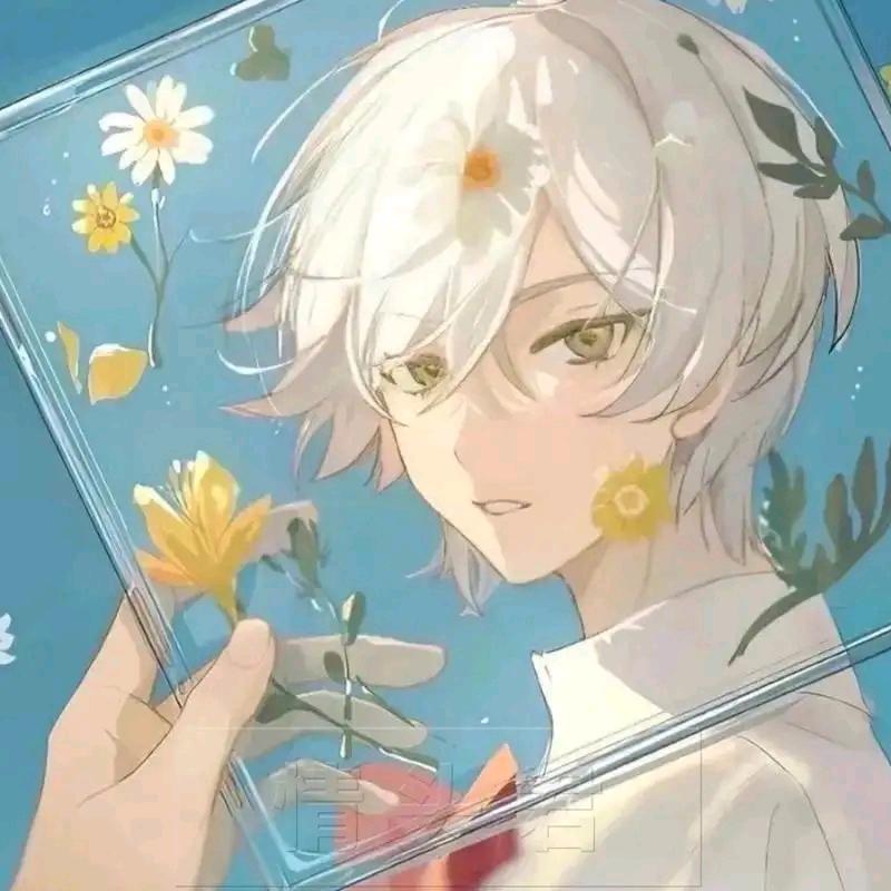 第五人格微凉