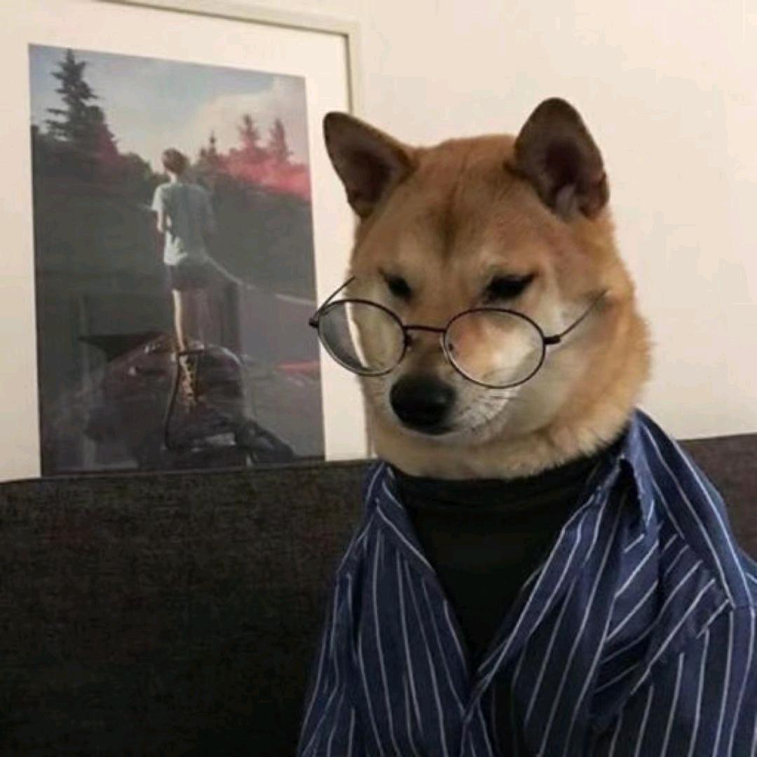 文彩