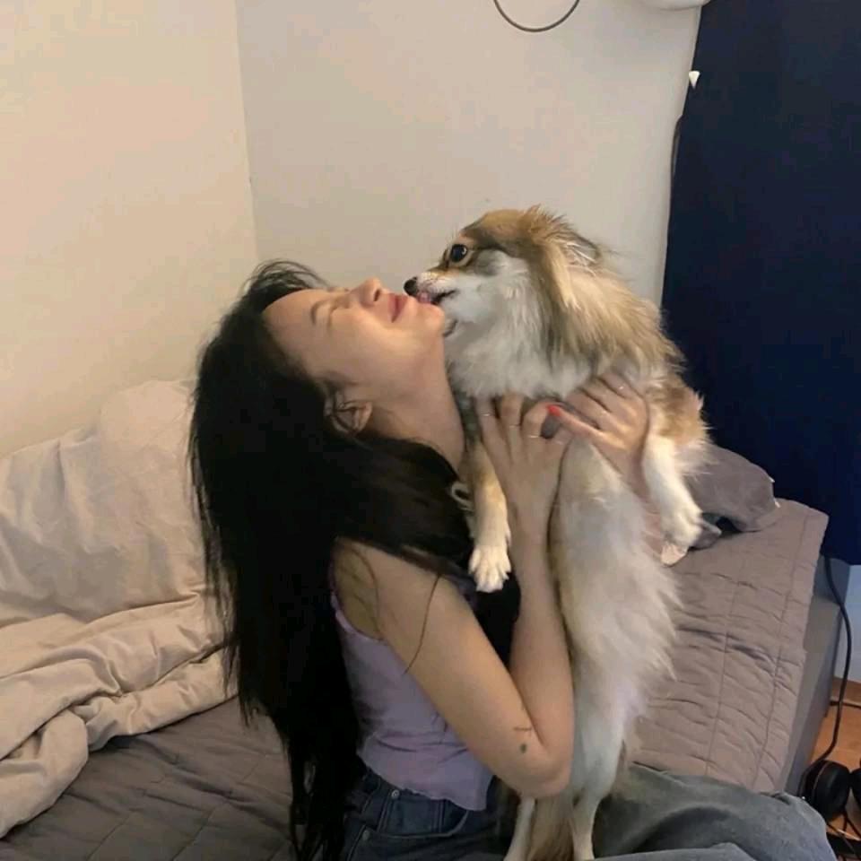 晚睡大王✨