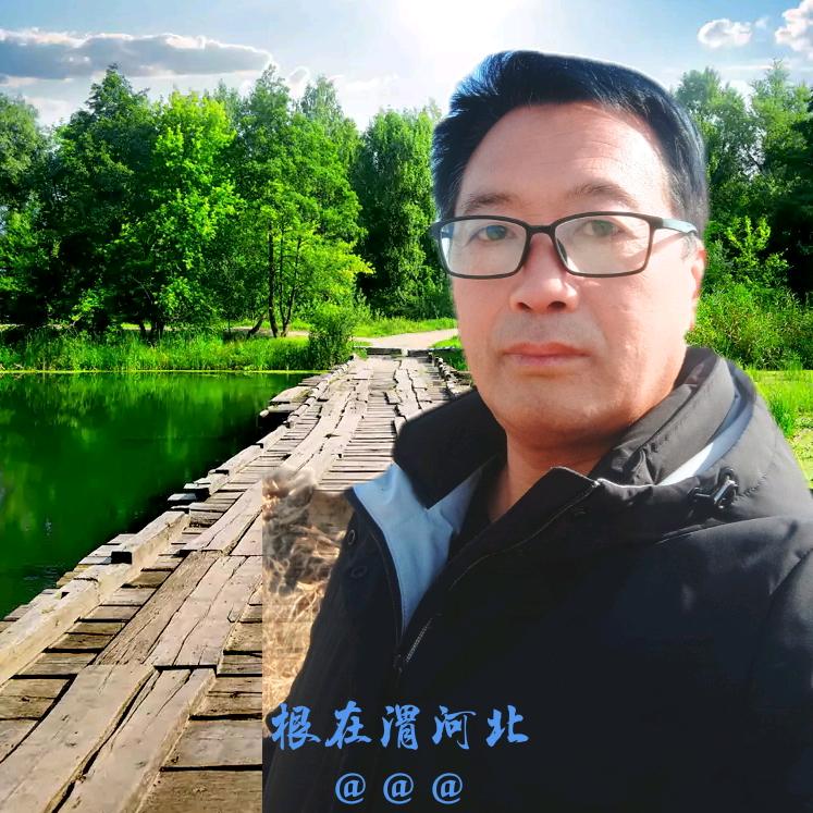根在渭河北@@@