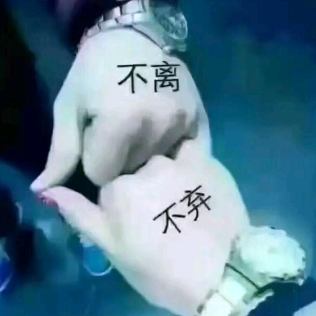 🐎不离💞💍不弃