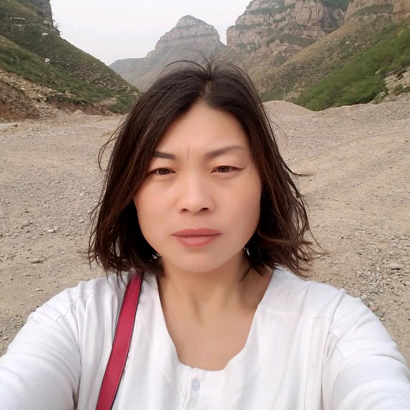 站在岸上的鱼