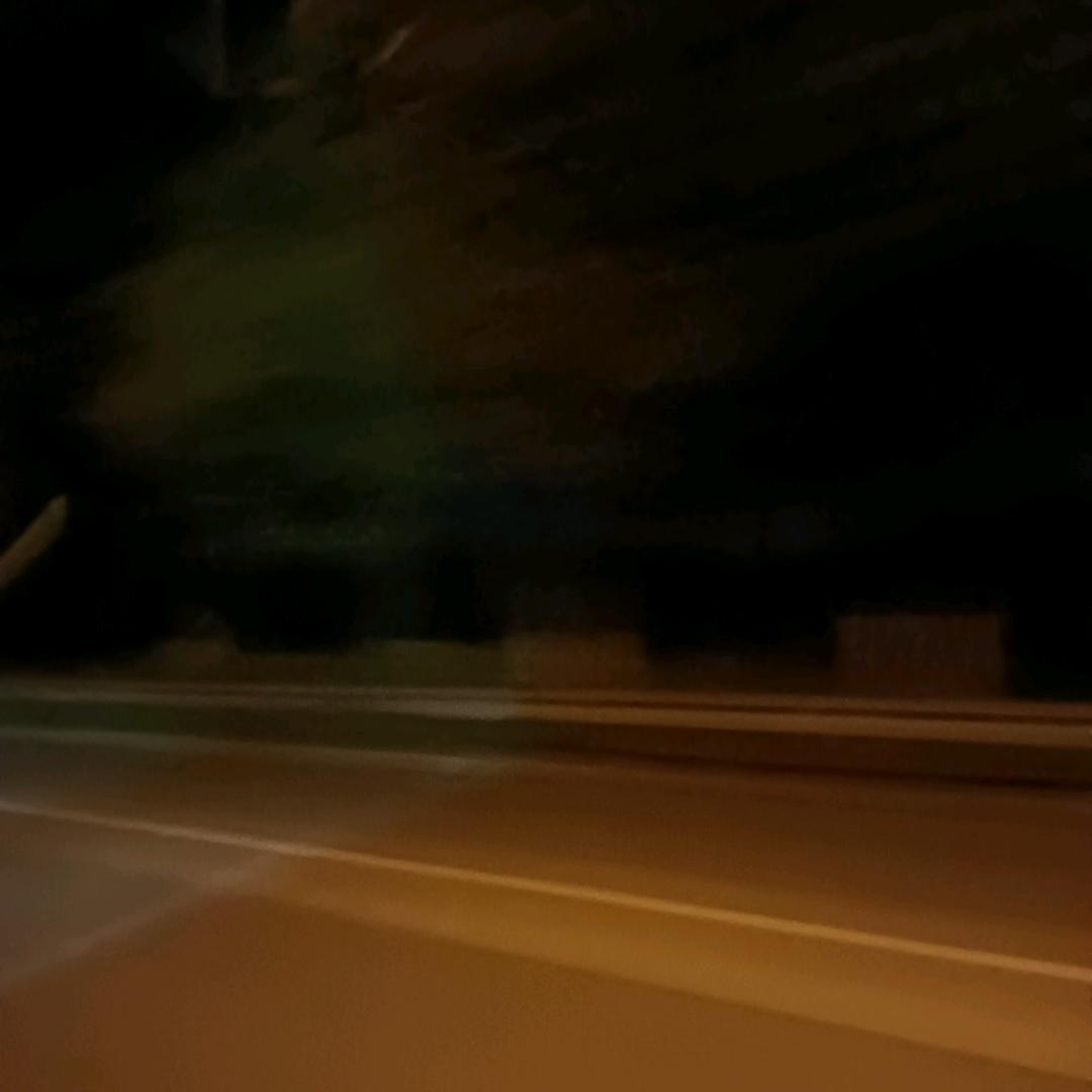 老虞