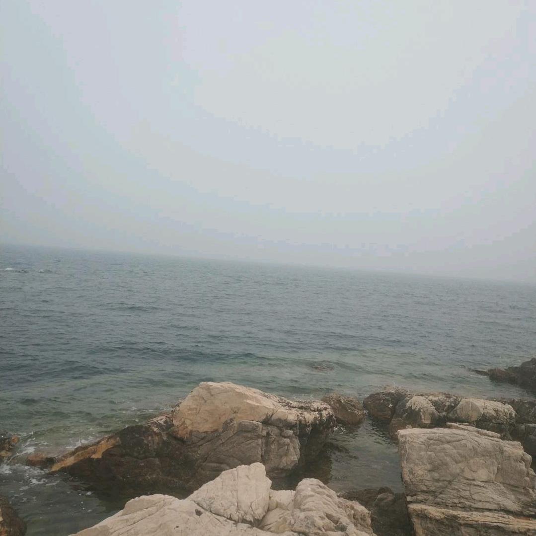 🍀ωǒ鮏李。ヽ。