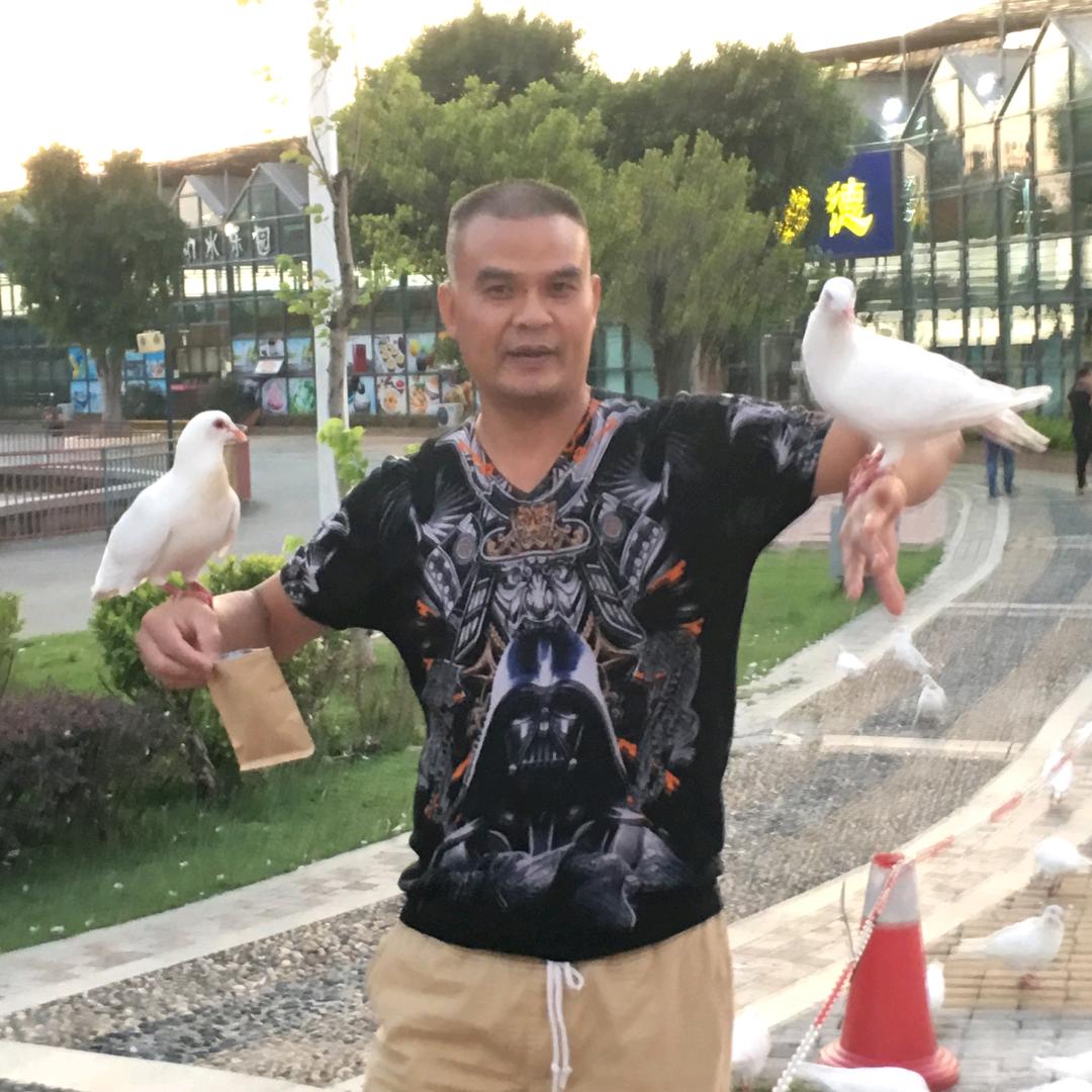 老四影音工程