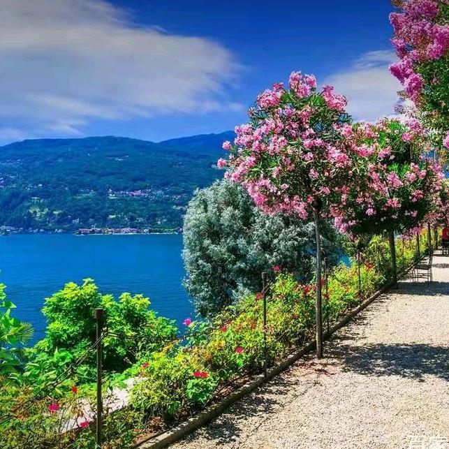 张氏盲人按摩孙营店