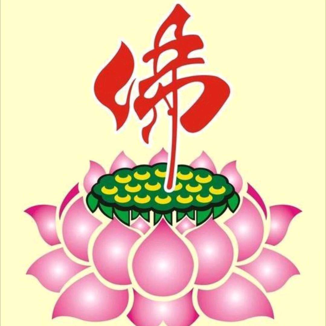爱雯雯