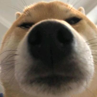 昵称已重置