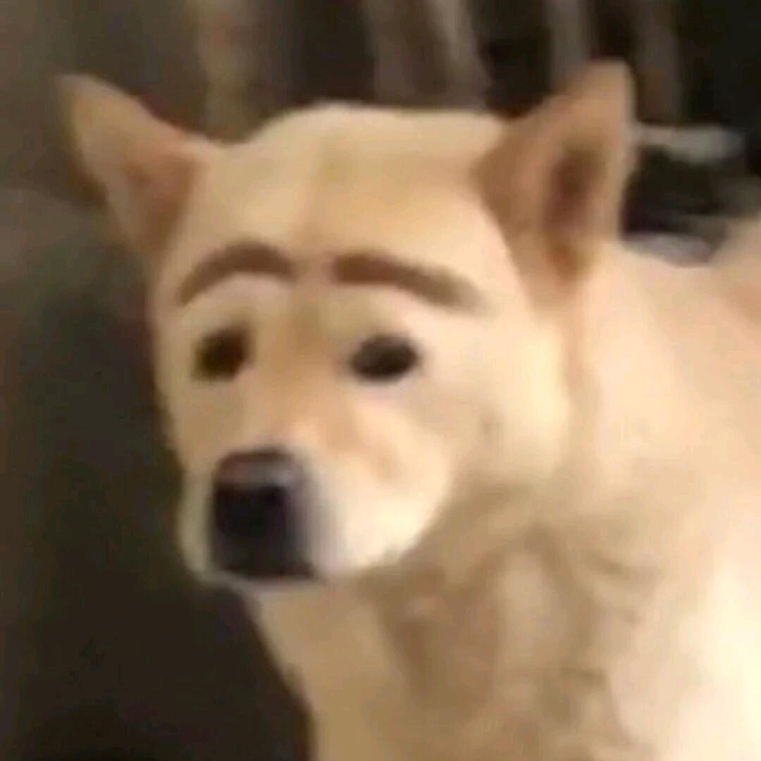 冬天。。