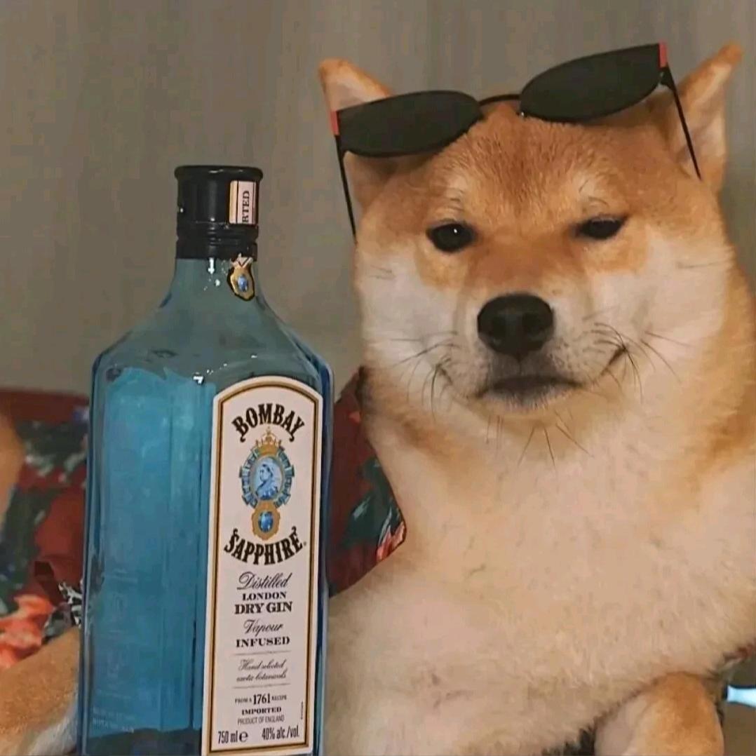癸
