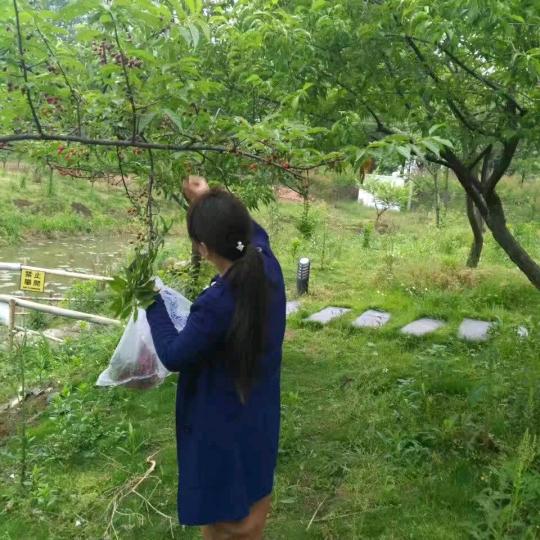 皂汰女人