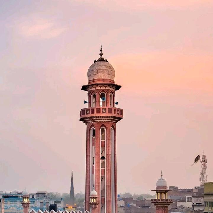 小小小小小小小小叶