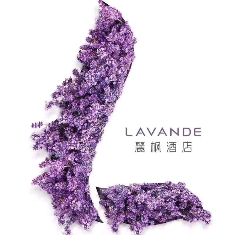 麗风酒店·琼海博鳌店