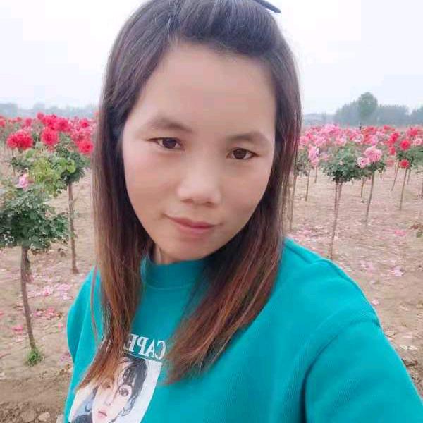 ╭❀封心锁爱❀╮