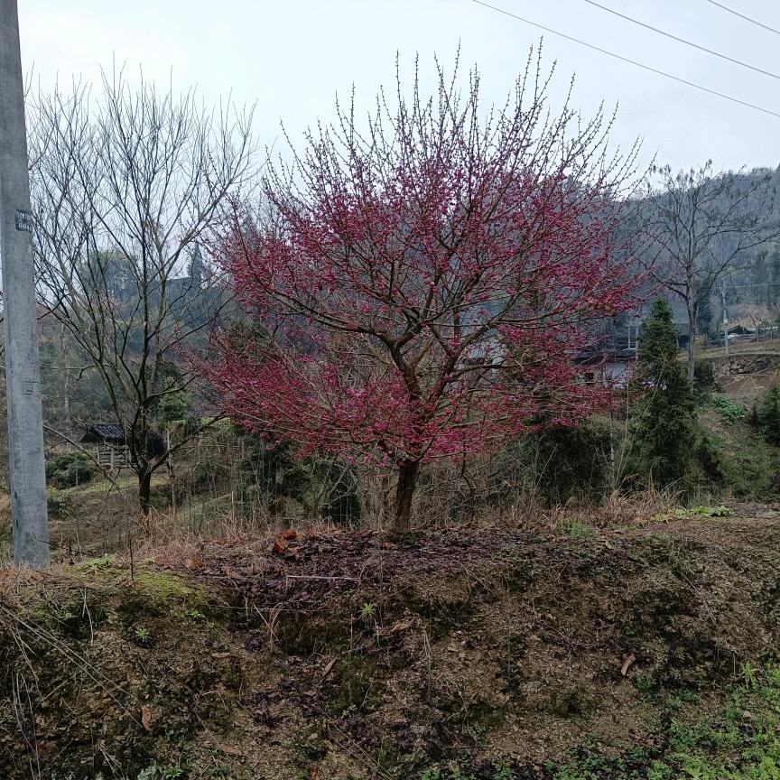 用户