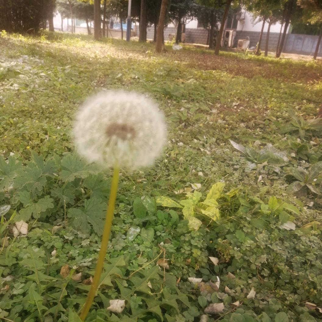 不知所以