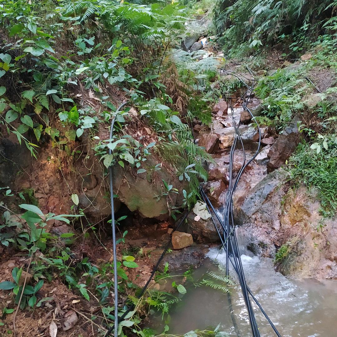 一干年以后