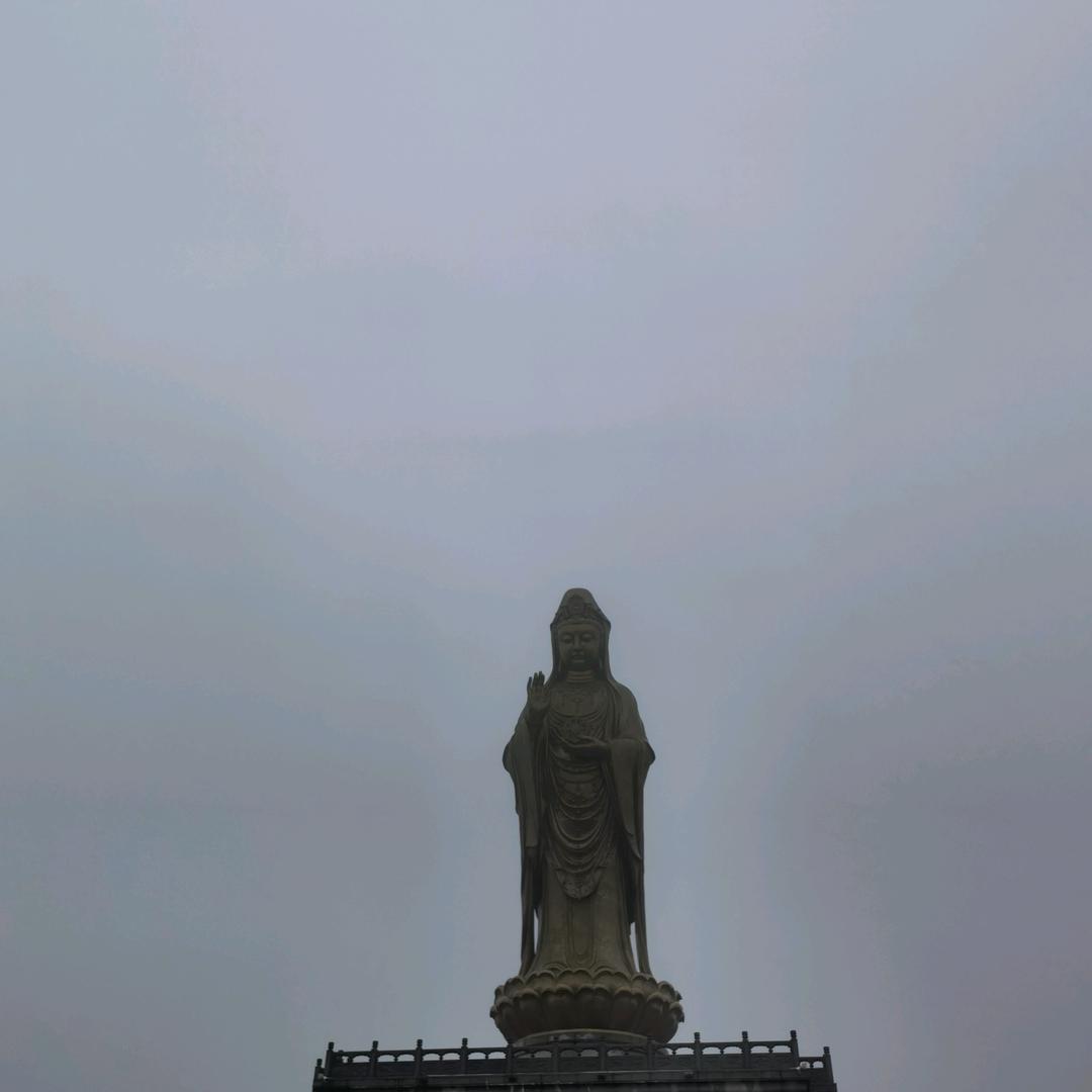 心向阳光