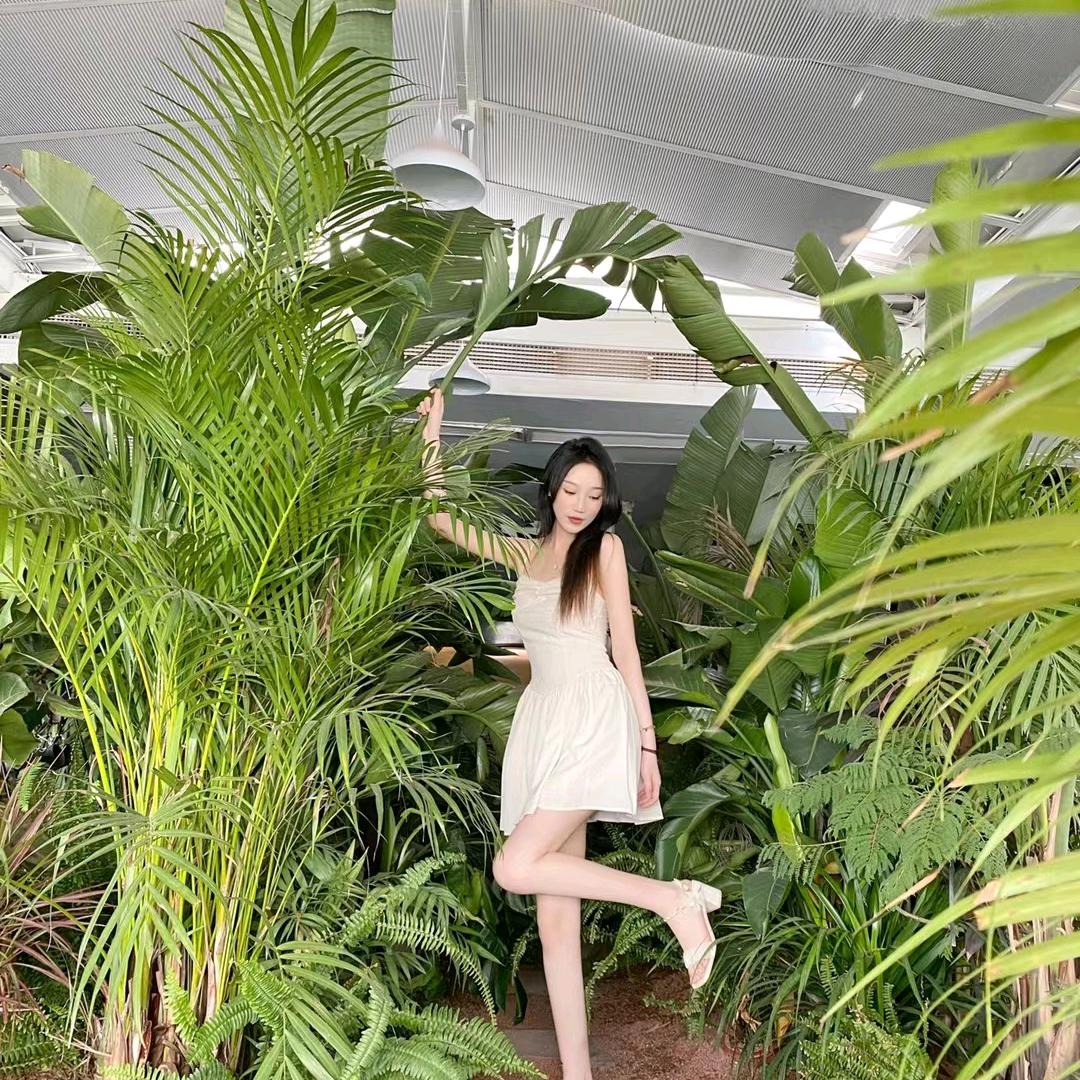 小麦麦