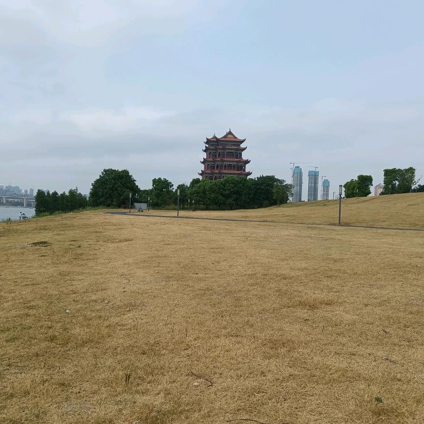 爱咋咋地