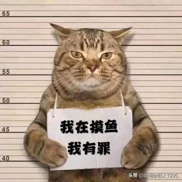 烧烤批发打工人