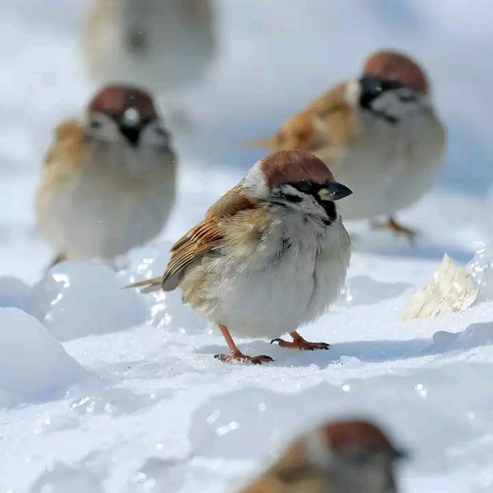 不离不去