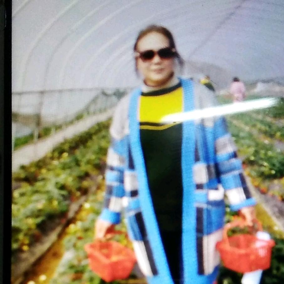菊凤