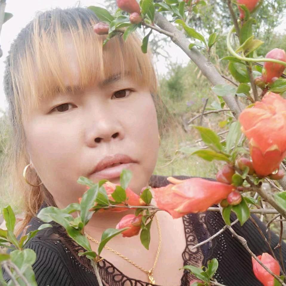 四海为家的我