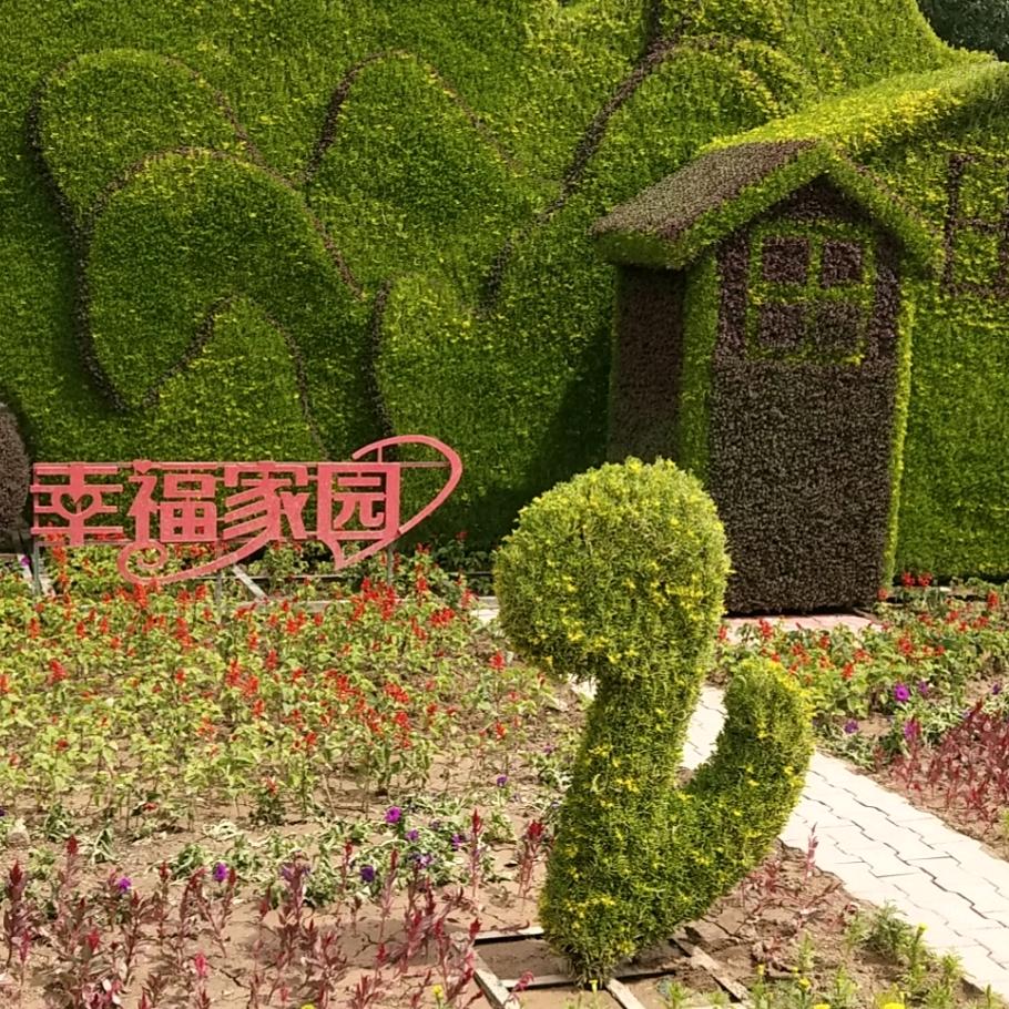 阴山   奋斗