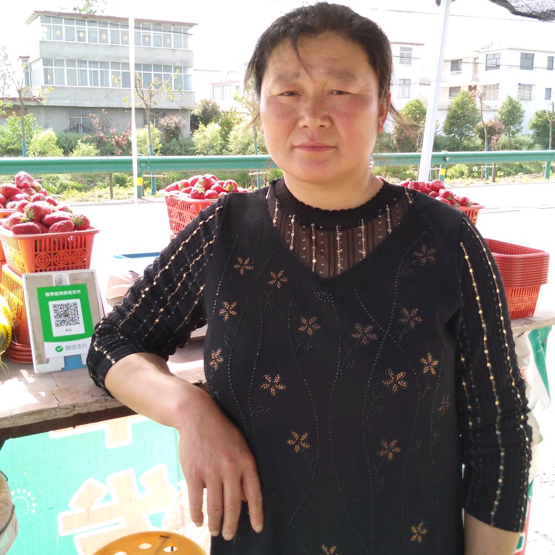 草莓姐姐