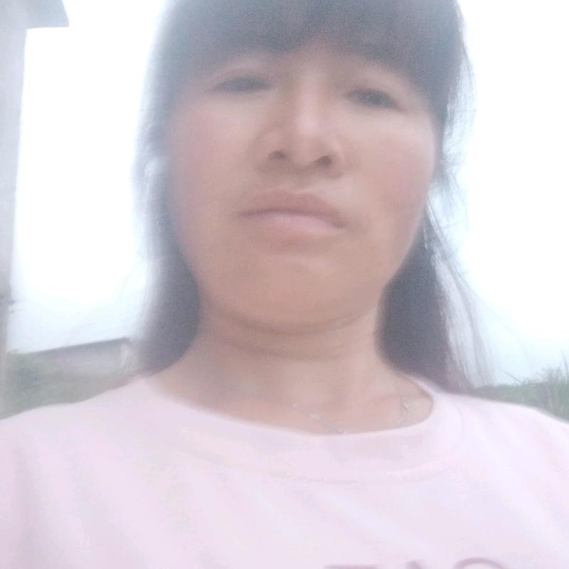田二姐