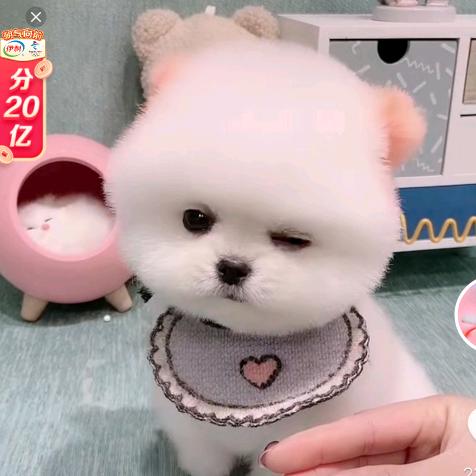 用户3239176337872