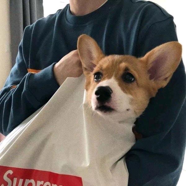 有关系