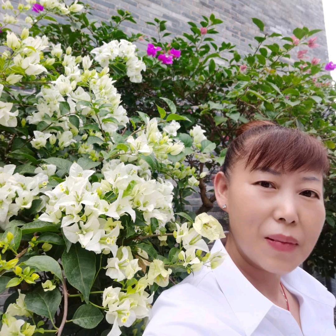是子情呀