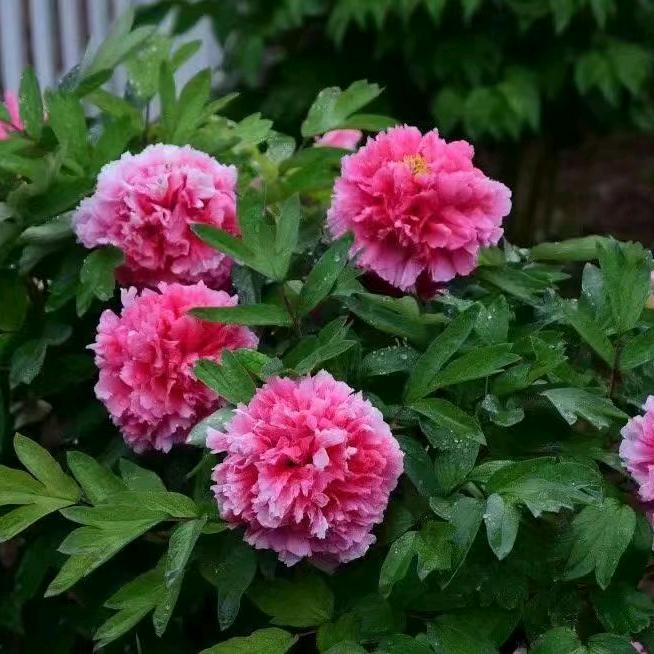 贫穷限制了生活，拒绝私聊