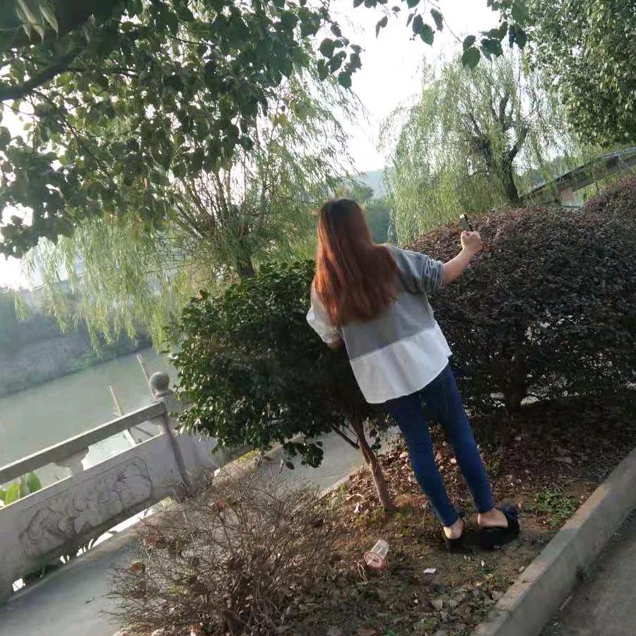 单只蝴蝶🦋