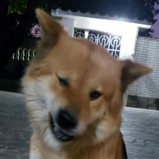 🙃