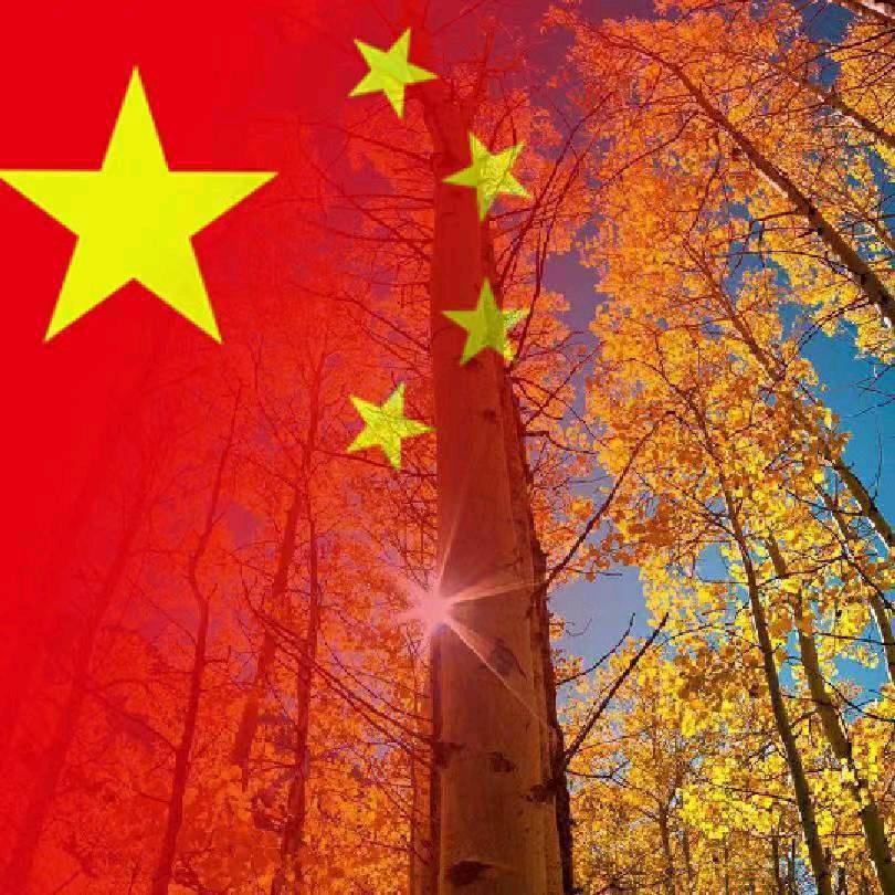 立洪