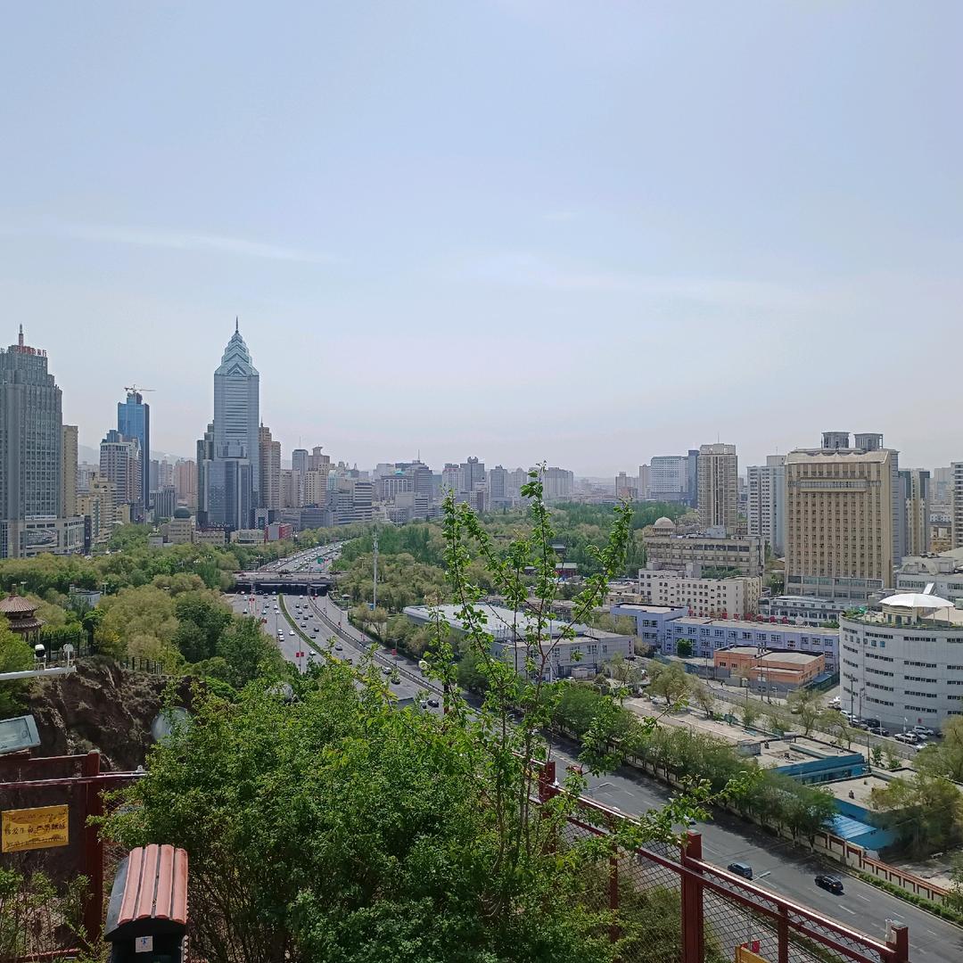 可乐6