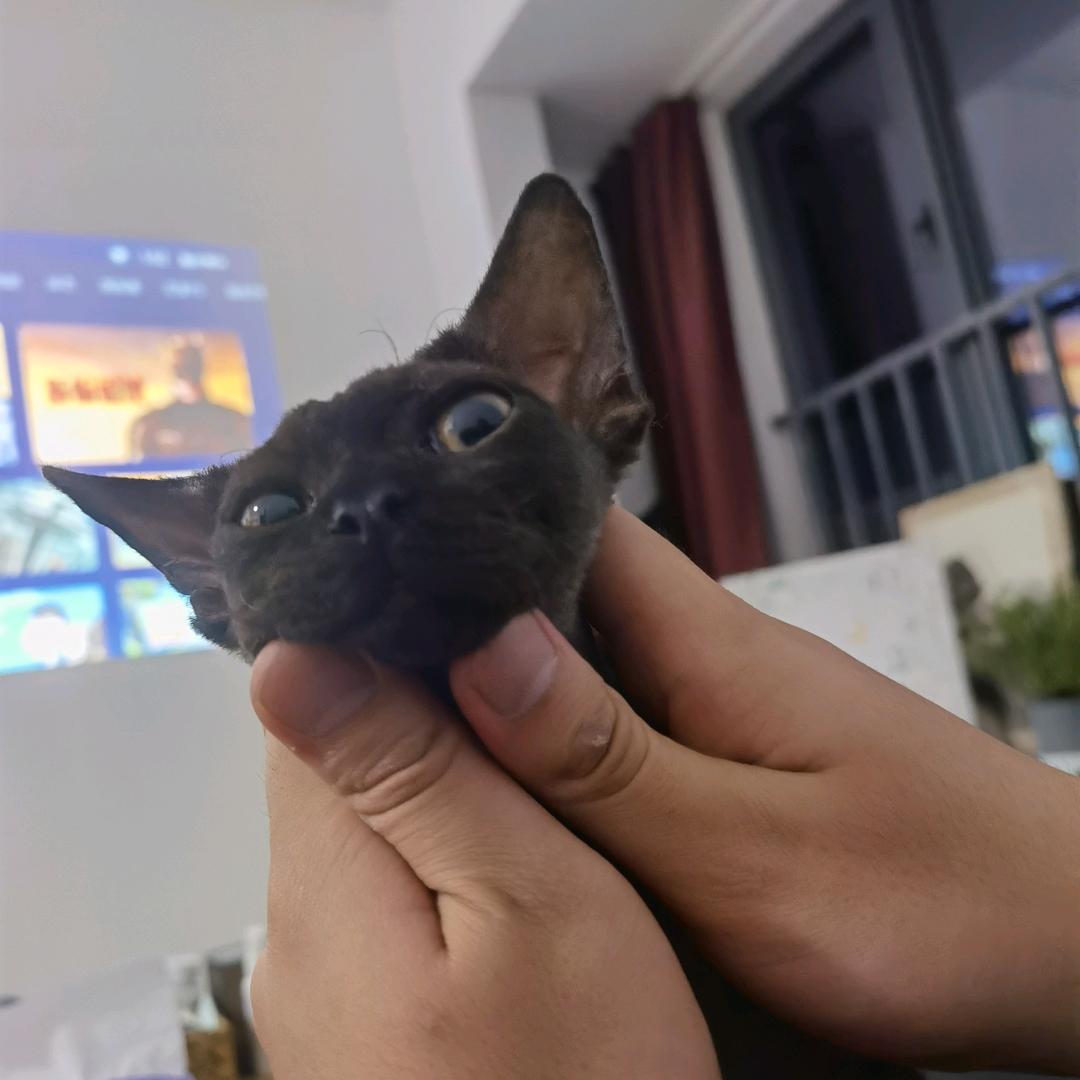 咕叽咕